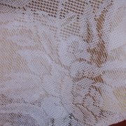 Cuauxicala _huauchinango14